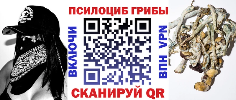 blacksprut зеркало  где купить   Стародуб  Галлюциногенные грибы мухоморы 